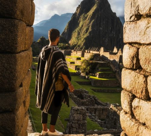 pexels-tracehudson-2365456